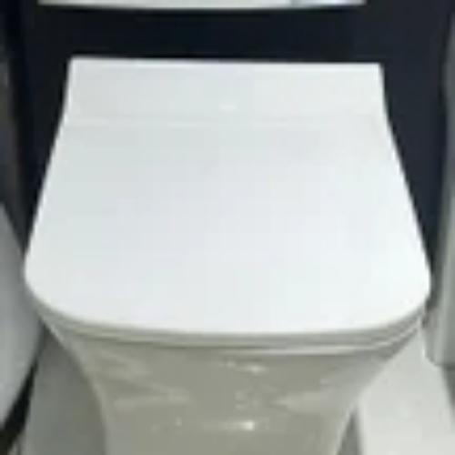 Ewc Toilet Seat