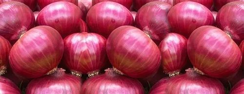 Organic Red Onion