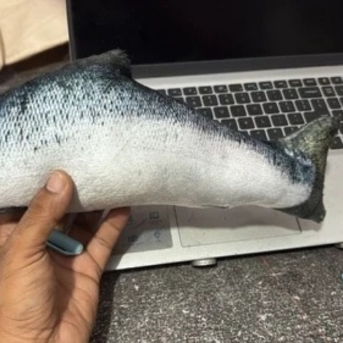 Fish Soft Toy By Rk Enterprises