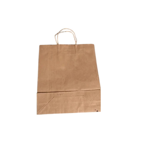Brown Paper Carry Bags - Kraft Paper 8x10x4 Inch, Brown, 120 GSM | Eco Friendly, Biodegradable, Flat Handle