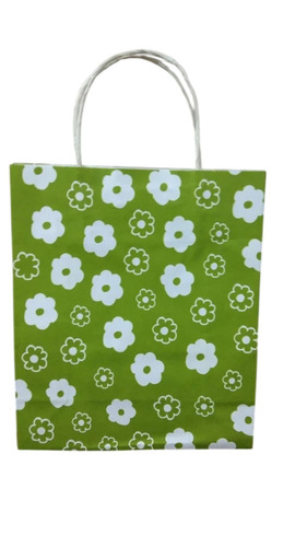 Color Craft Paper Bags