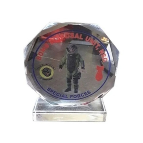 Acrylic Trophies