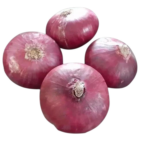 A Grade Red Onion