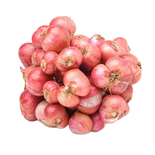 B Grade Fresh Baby Onion - Cultivation Type: Common