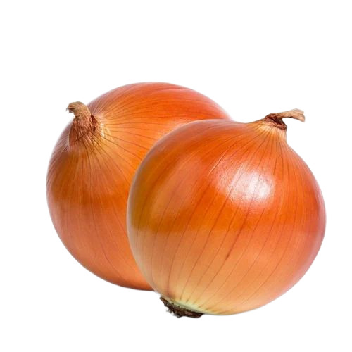 Fresh B Grade Yellow Onion