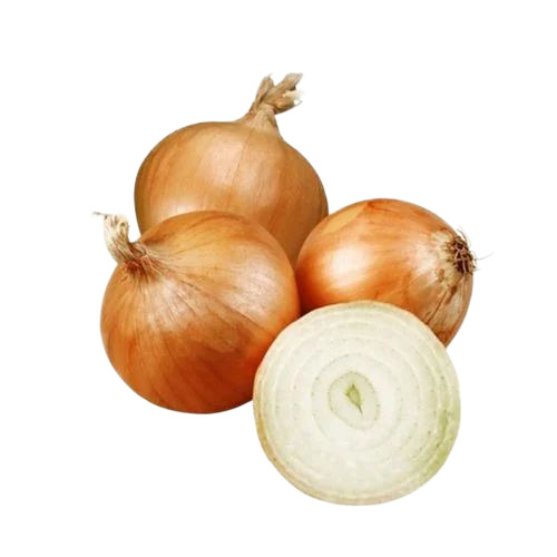 Fresh Yellow Onion