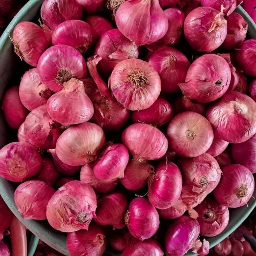 Natural Fresh Red Onion - 50 kg, Nashik Variety | Chopped, Cooked, Round Shape, Shelf Life 1 Year