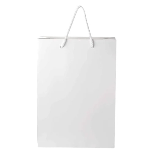 White Garment Paper Bag