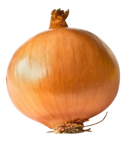 Yellow Onion