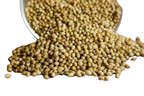 Corriander Seed