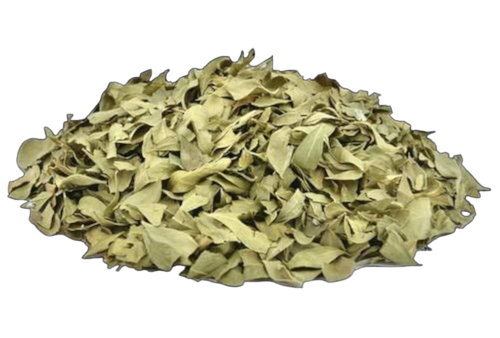 Mehendi Pati - 100% Henna Leaves, Green | Hygienically Processed, Long Shelf Life