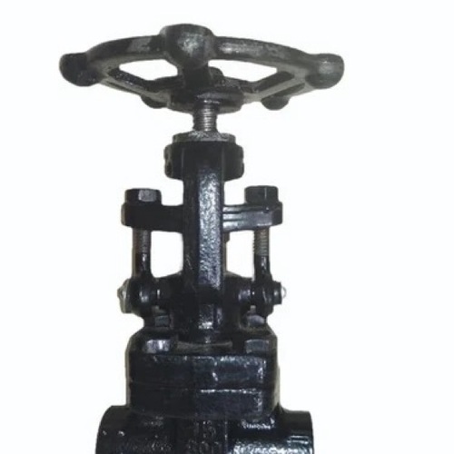 Class 800 Forged Steel Globe Valve