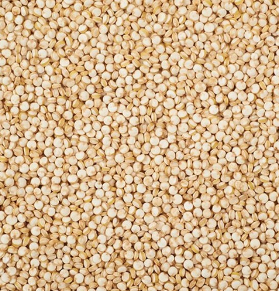 Quinoa Seeds - Color: White
