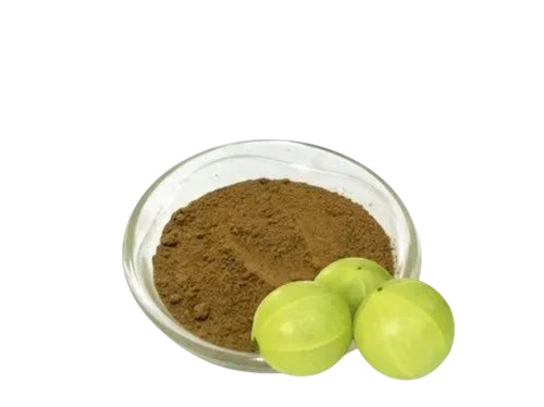 Amla Extract Powder