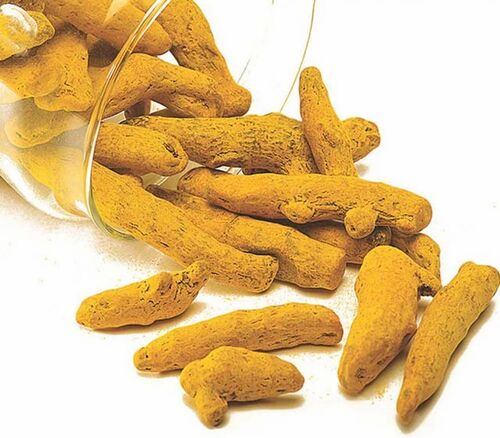 Suji Duggirala Turmeric Finger