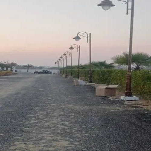 02 Decorative Electric Poles - Cast Iron 3m Height Single Arm Powder Coated | Good Quality 50 Hertz Frequency