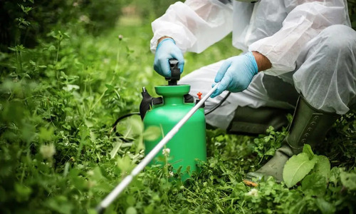 Chemical Pesticides