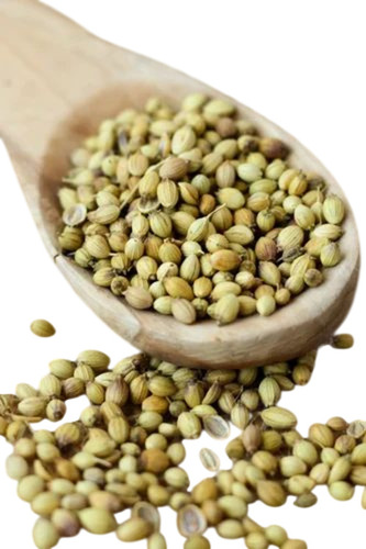 Coriander Seeds