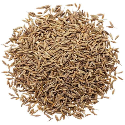 Cumin Seed - Whole Natural Brown, Raw, Elongated, Grade A | Cooking Spice, 50 kg, Natural Flavor