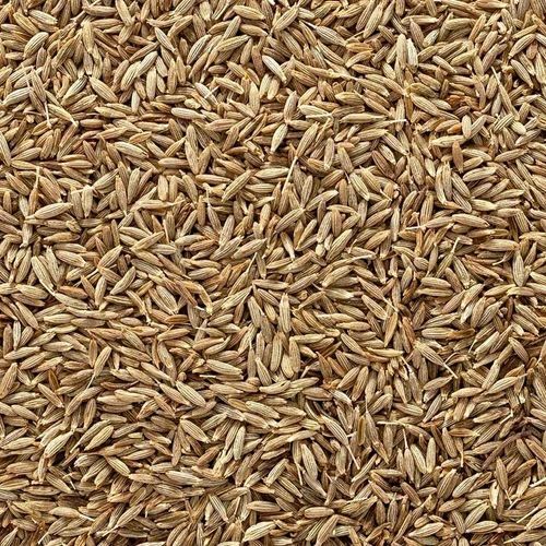 Cumin Seeds