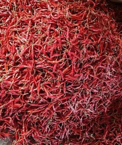 Dry Teja Red Chilli