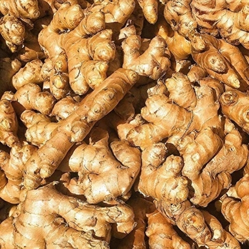 Fresh Ginger