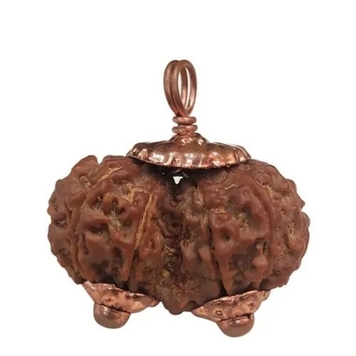 Gouri Shankar Rudraksha