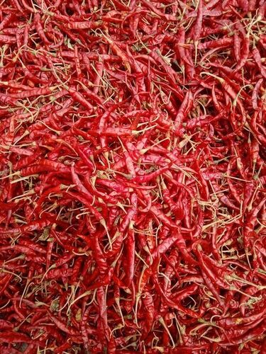 Guntur Dry Whole Red Chilli - Packet, FSSAI Certified | Natural, A Grade, 99% Purity, Spicy Taste, 9 Months Shelf Life