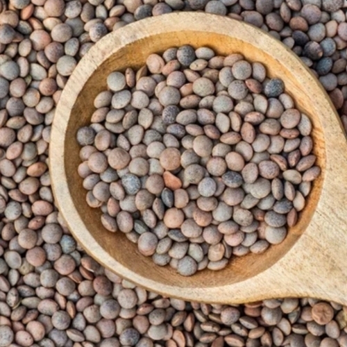 Sabut Masoor Dal - Dried Spherical Pulse, 100 Purity | Long Shelf Life, Tested Quality, Hygienically Packed