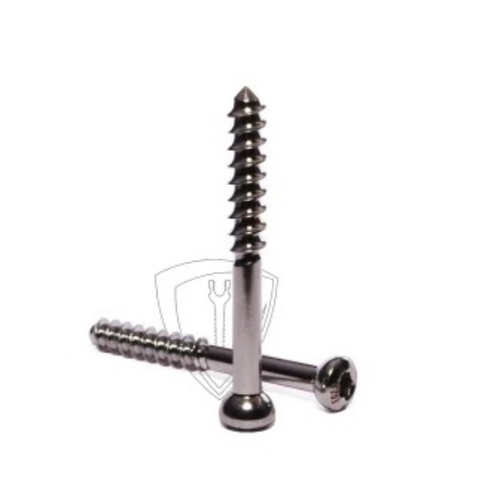 Cannulated Cancellous Screw for Bone Fractures