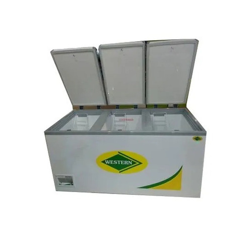 Western Deep Freezers 825 Ltr