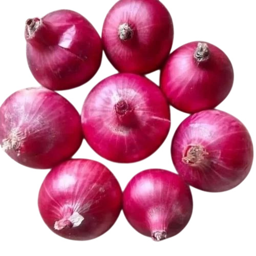 Fresh Onion