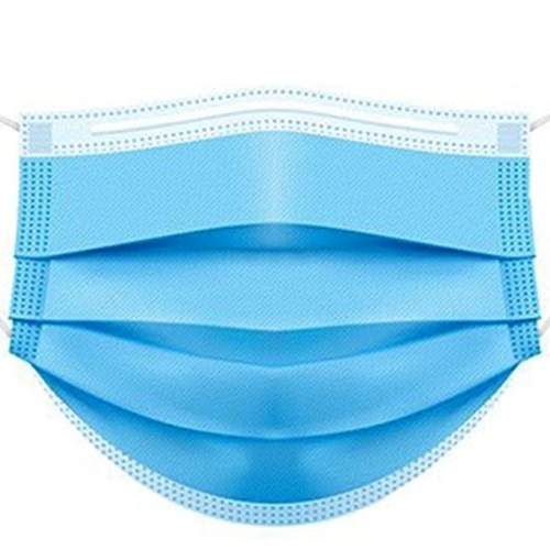 2 Ply Face Mask