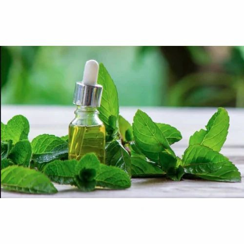 Spearmint Essential Oil