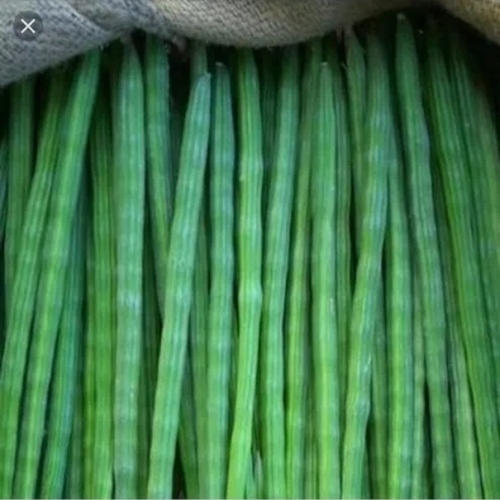 Fresh Drumstick Vegetable