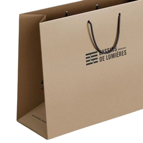 3 Kg Printed Paper Bag