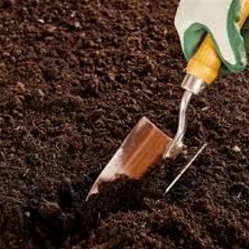 Potting Soil