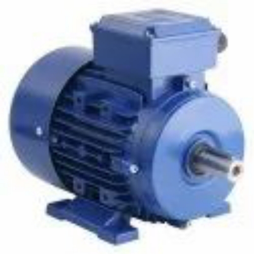 2 Hp Double Electric Motor