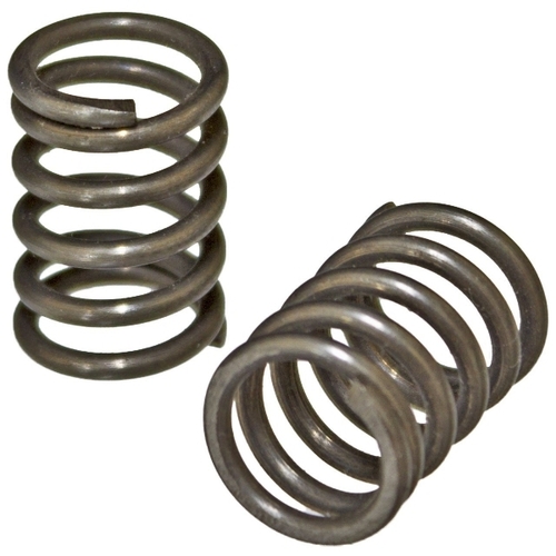 Engine Valve Springs 