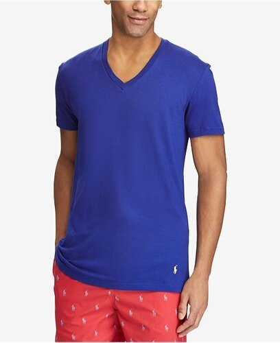 Mens V Neck Blue T Shirt