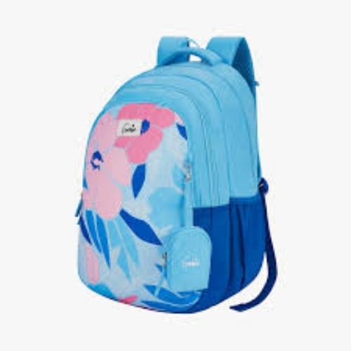 School Bag 