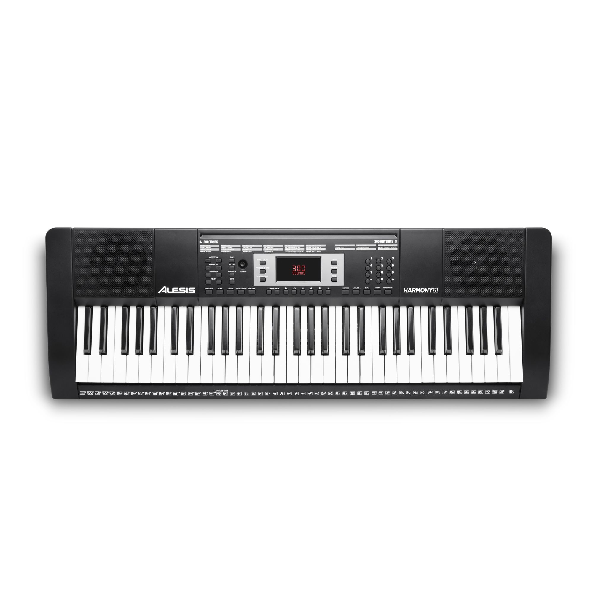 Alesis Harmony 61 61-Key Portable Keyboard - Application: Professional Singing