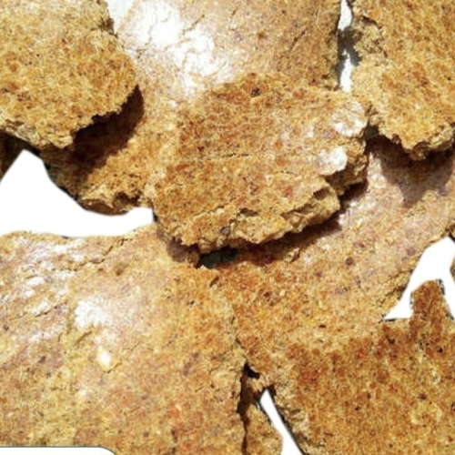 Cotton Seed Cakes