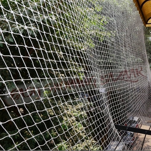 Bird Protection Net