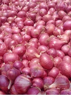 Fresh Red Onion - Moisture (%): 80%-85%