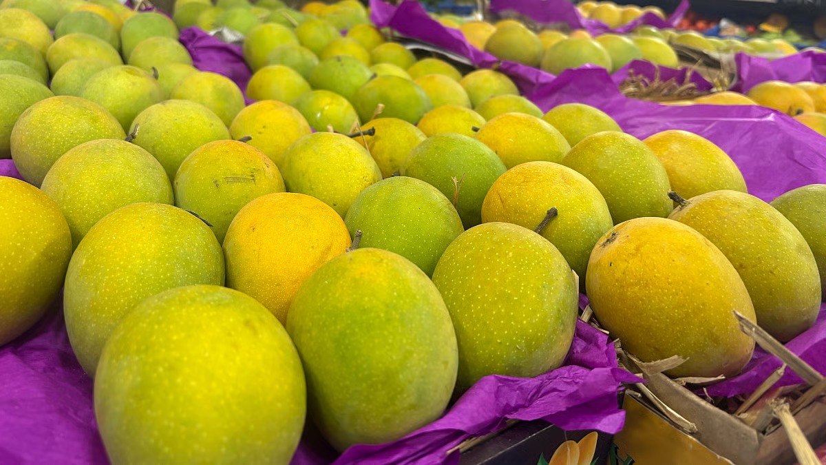 Alphonso Mangoes