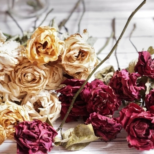 Dried Flower Bouquet