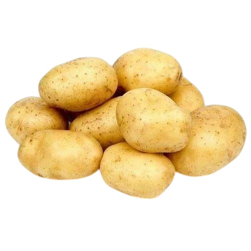 Fresh Ooty Potato