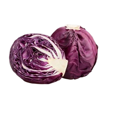 Fresh Red Cabbage