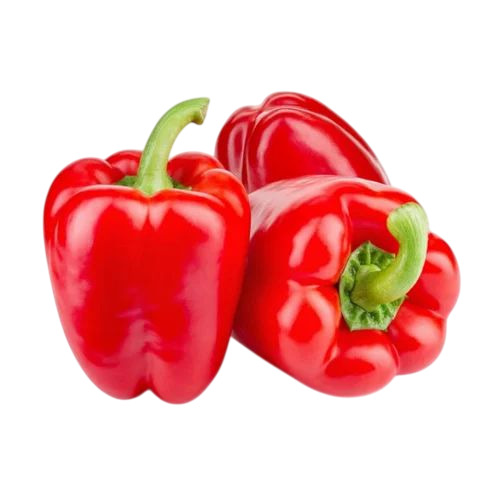 Fresh Red Capsicum
